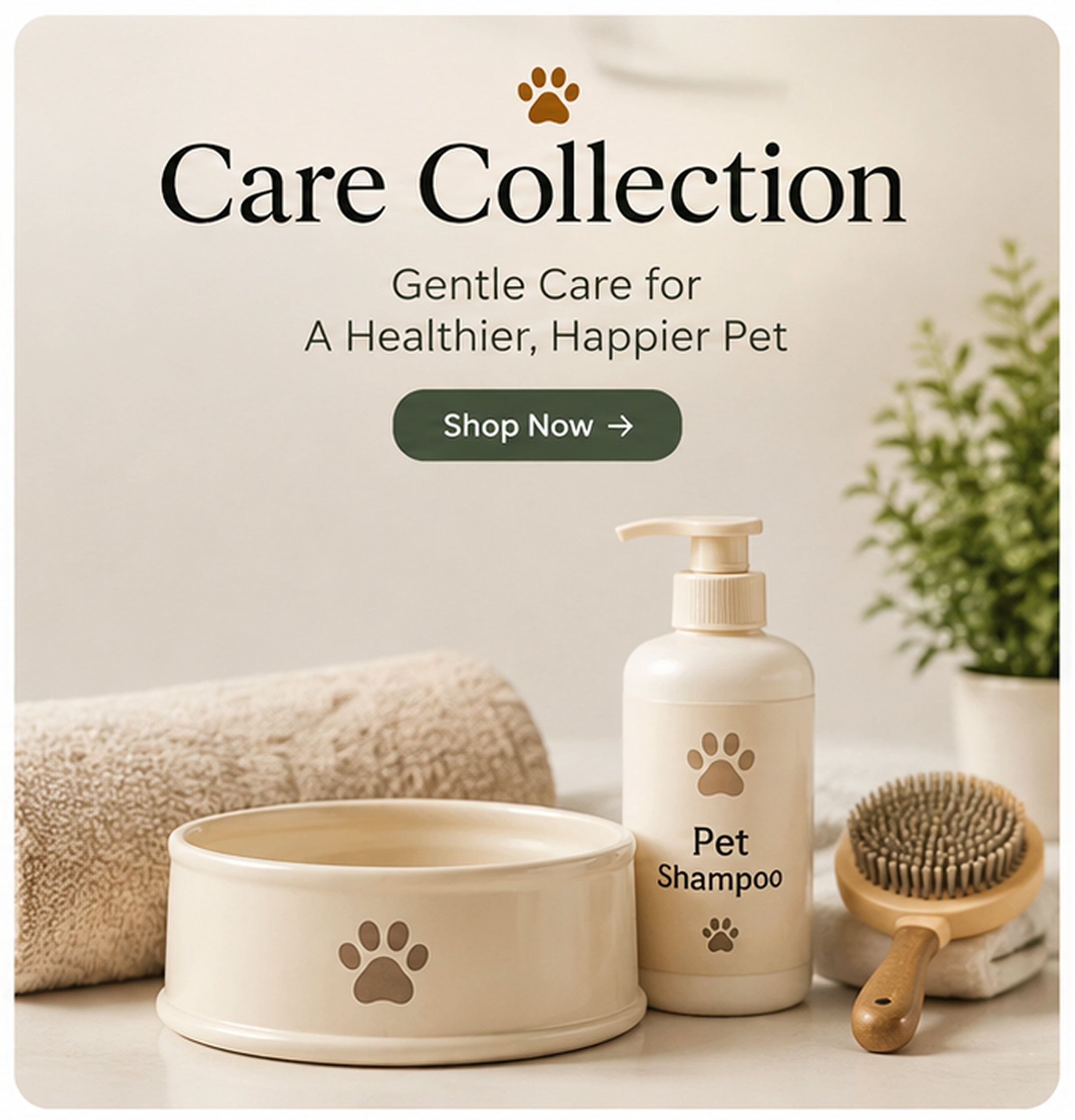 Care