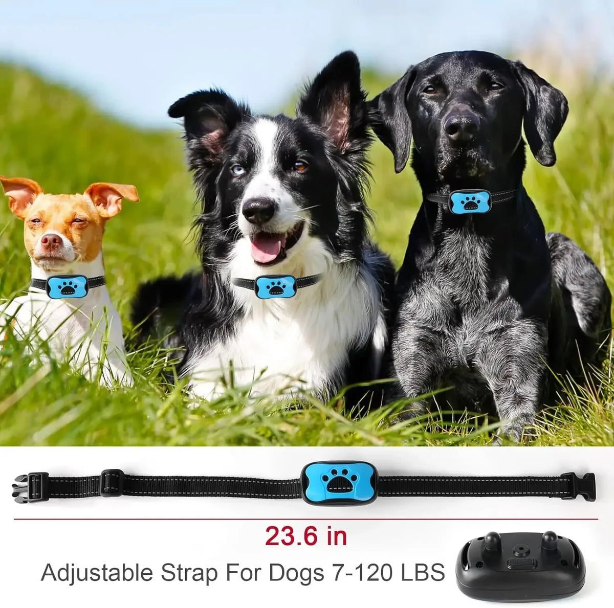 HushPup No-Shock Bark Collar — Gentle Beep & Vibration Training