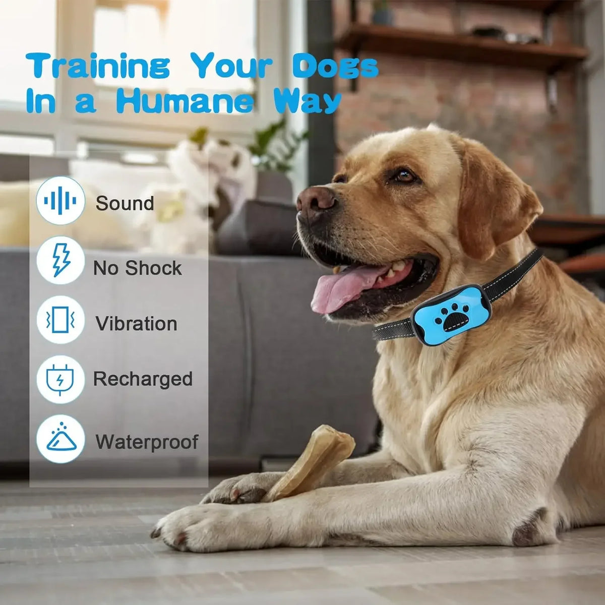 HushPup No-Shock Bark Collar — Gentle Beep & Vibration Training